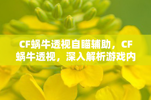 CF蜗牛透视自瞄辅助，CF蜗牛透视，深入解析游戏内视功能，带你领略不一样的游戏世界
