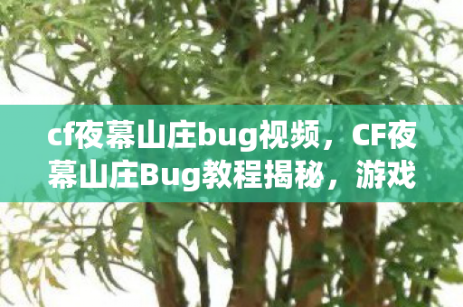 cf夜幕山庄bug视频，CF夜幕山庄Bug教程揭秘，游戏内的隐藏秘密与技巧