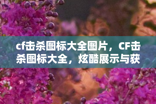 cf击杀图标大全图片，CF击杀图标大全，炫酷展示与获取攻略