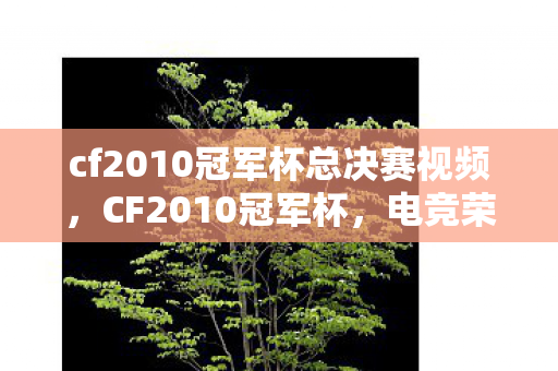 cf2010冠军杯总决赛视频，CF2010冠军杯，电竞荣光再现的辉煌时刻
