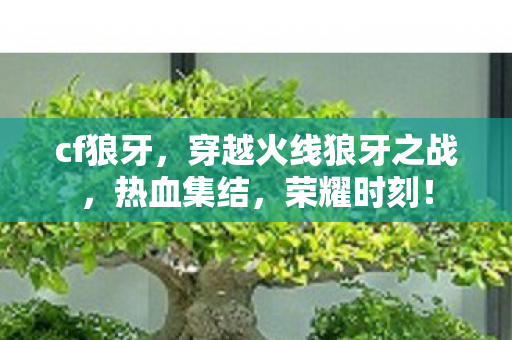 cf狼牙，穿越火线狼牙之战，热血集结，荣耀时刻！