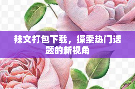辣文打包下载，探索热门话题的新视角