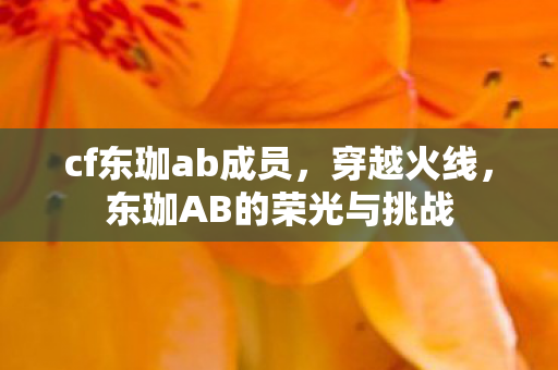 cf东珈ab成员，穿越火线，东珈AB的荣光与挑战