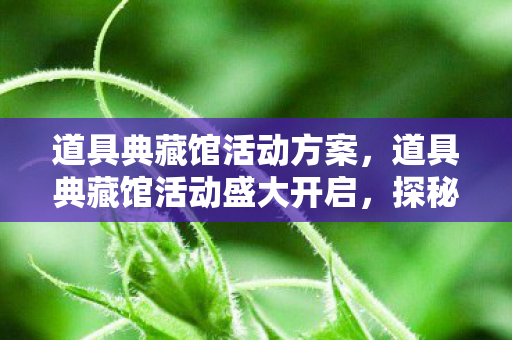 道具典藏馆活动方案，道具典藏馆活动盛大开启，探秘收藏文化之旅启程！