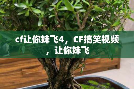 cf让你妹飞4，CF搞笑视频，让你妹飞