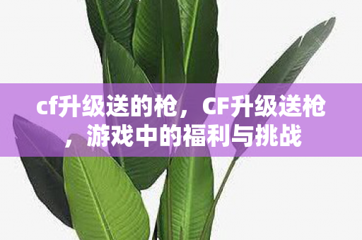 cf升级送的枪，CF升级送枪，游戏中的福利与挑战