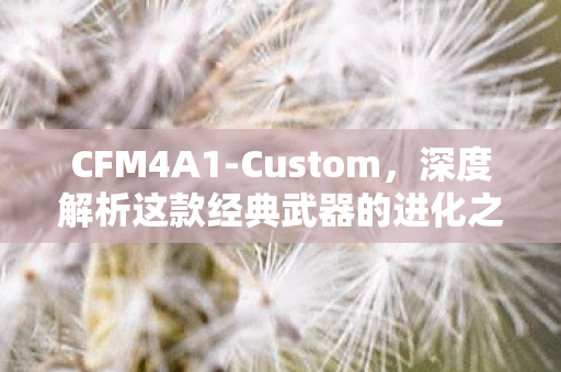 CFM4A1-Custom，深度解析这款经典武器的进化之路