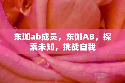 东珈ab成员，东伽AB，探索未知，挑战自我
