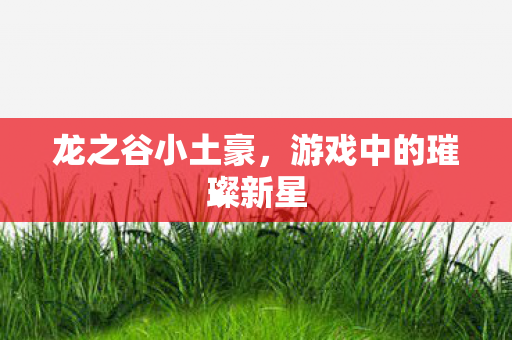 龙之谷小土豪，游戏中的璀璨新星