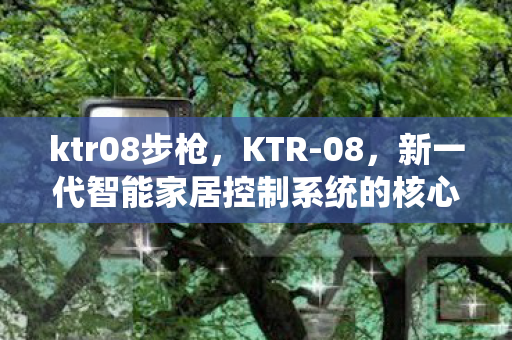 ktr08步枪，KTR-08，新一代智能家居控制系统的核心优势与挑战