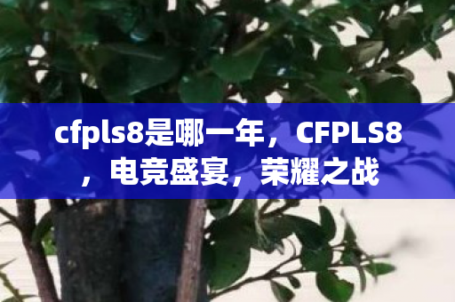 cfpls8是哪一年，CFPLS8，电竞盛宴，荣耀之战