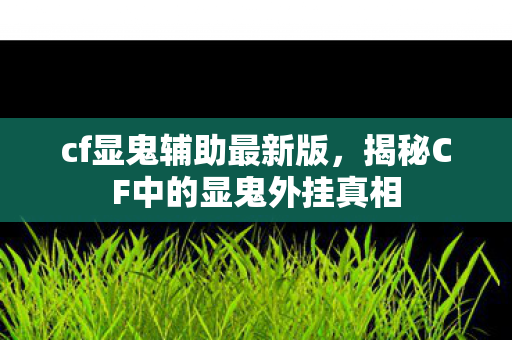 cf显鬼辅助最新版，揭秘CF中的显鬼外挂真相