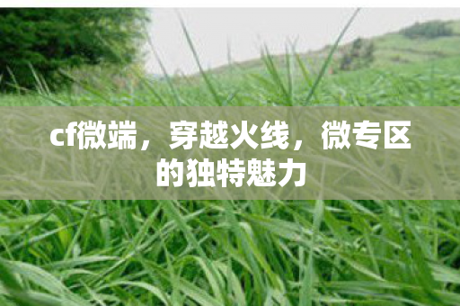 cf微端，穿越火线，微专区的独特魅力