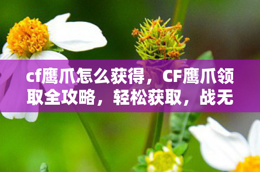 cf鹰爪怎么获得，CF鹰爪领取全攻略，轻松获取，战无不胜！