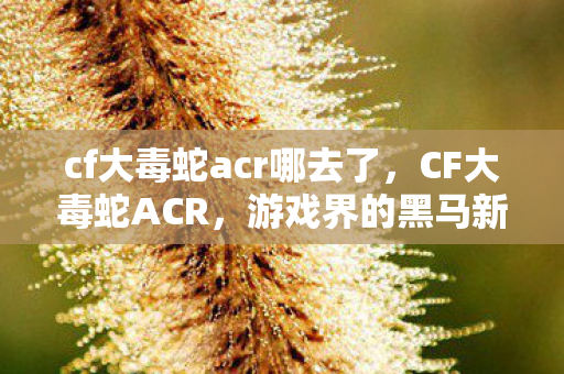 cf大毒蛇acr哪去了，CF大毒蛇ACR，游戏界的黑马新星