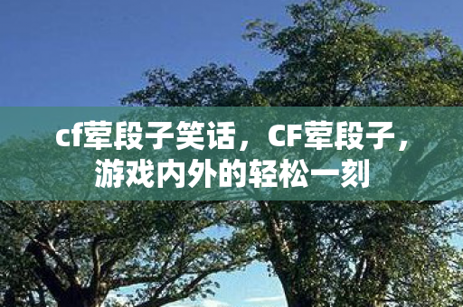 cf荤段子笑话，CF荤段子，游戏内外的轻松一刻
