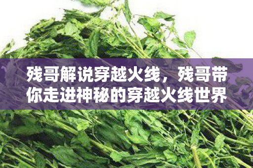 残哥解说穿越火线，残哥带你走进神秘的穿越火线世界