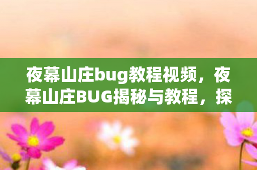 夜幕山庄bug教程视频，夜幕山庄BUG揭秘与教程，探索未知的神秘世界