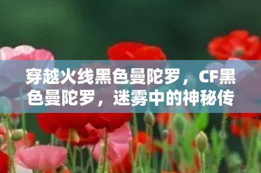 穿越火线黑色曼陀罗，CF黑色曼陀罗，迷雾中的神秘传说