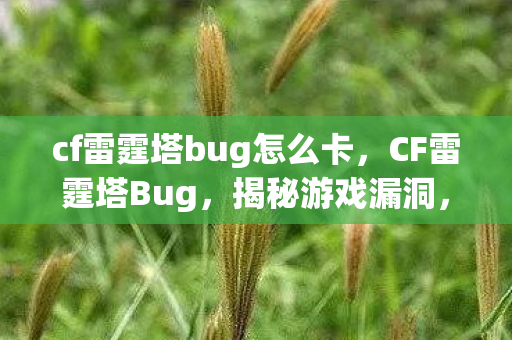 cf雷霆塔bug怎么卡，CF雷霆塔Bug，揭秘游戏漏洞，玩家自救指南