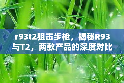 r93t2狙击步枪，揭秘R93与T2，两款产品的深度对比解析