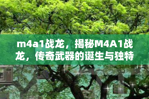 m4a1战龙，揭秘M4A1战龙，传奇武器的诞生与独特魅力