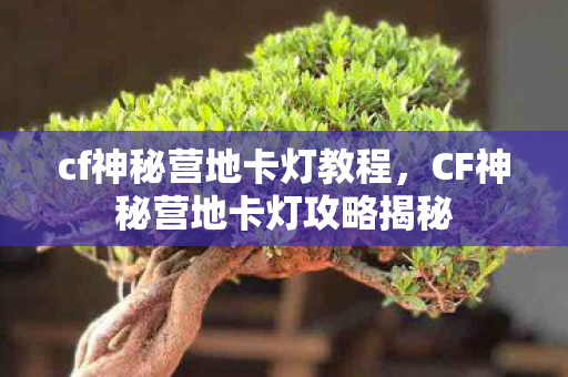 cf神秘营地卡灯教程，CF神秘营地卡灯攻略揭秘