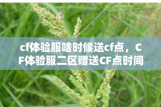 cf体验服啥时候送cf点，CF体验服二区赠送CF点时间解析