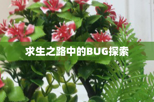 求生之路中的BUG探索