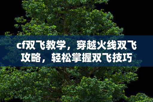 cf双飞教学，穿越火线双飞攻略，轻松掌握双飞技巧
