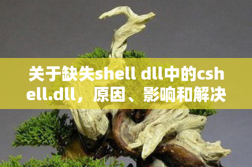 关于缺失shell dll中的cshell.dll，原因、影响和解决方案
