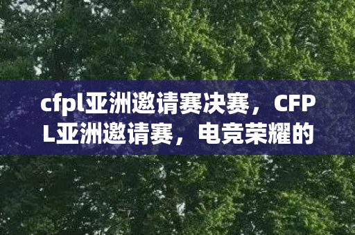 cfpl亚洲邀请赛决赛，CFPL亚洲邀请赛，电竞荣耀的盛宴