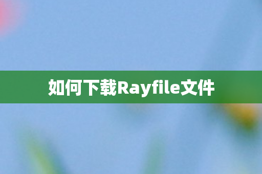 如何下载Rayfile文件