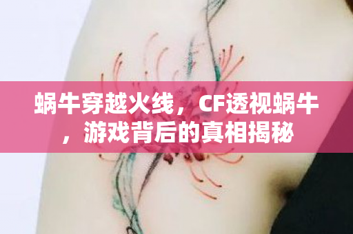蜗牛穿越火线，CF透视蜗牛，游戏背后的真相揭秘