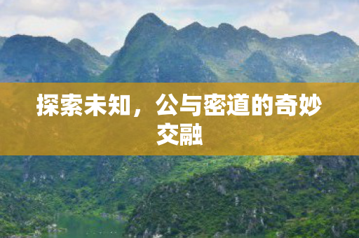 探索未知，公与密道的奇妙交融