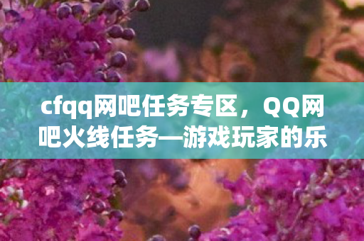 cfqq网吧任务专区，QQ网吧火线任务—游戏玩家的乐园