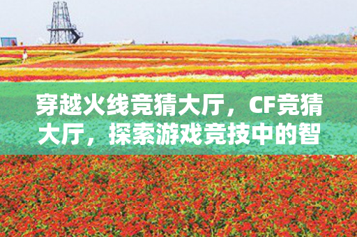 穿越火线竞猜大厅，CF竞猜大厅，探索游戏竞技中的智慧与激情
