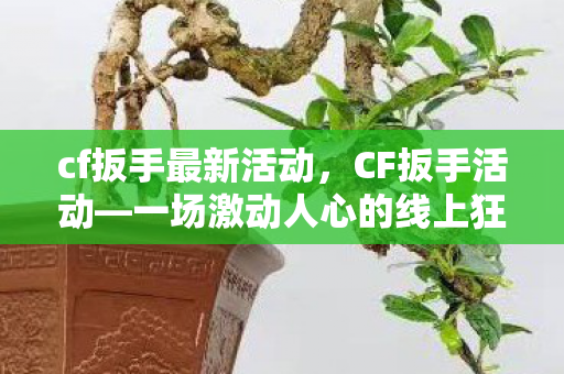 cf扳手最新活动，CF扳手活动—一场激动人心的线上狂欢