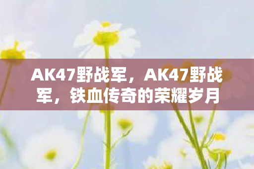 AK47野战军，AK47野战军，铁血传奇的荣耀岁月