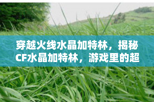 穿越火线水晶加特林，揭秘CF水晶加特林，游戏里的超级武器