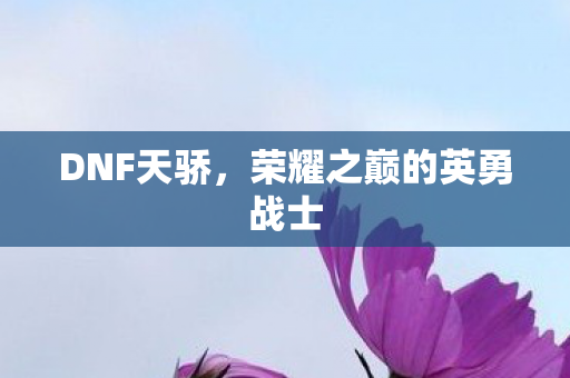 DNF天骄，荣耀之巅的英勇战士