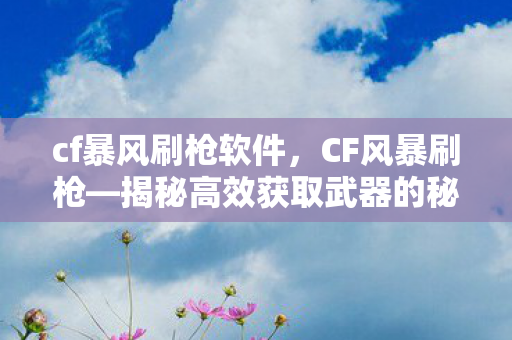 cf暴风刷枪软件，CF风暴刷枪—揭秘高效获取武器的秘密