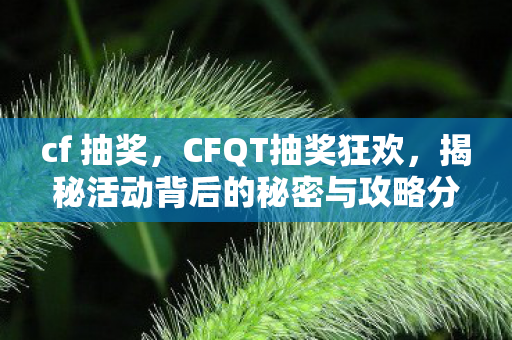 cf 抽奖，CFQT抽奖狂欢，揭秘活动背后的秘密与攻略分享