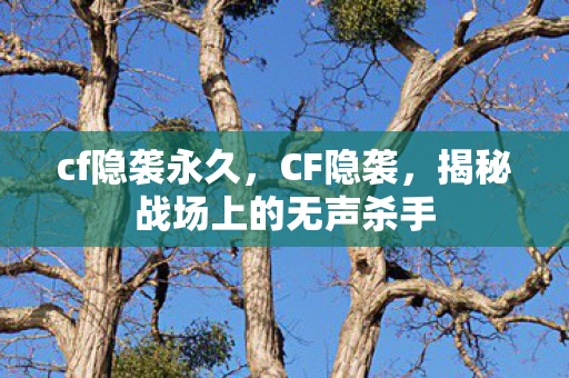 cf隐袭永久，CF隐袭，揭秘战场上的无声杀手