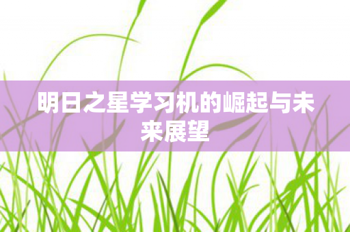 明日之星学习机的崛起与未来展望