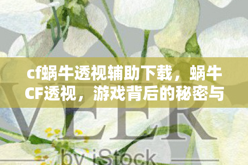 cf蜗牛透视辅助下载，蜗牛CF透视，游戏背后的秘密与真相