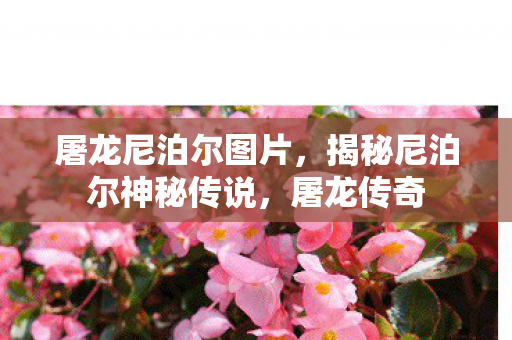 屠龙尼泊尔图片，揭秘尼泊尔神秘传说，屠龙传奇