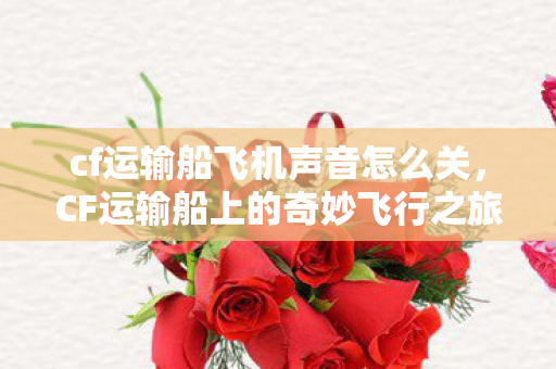cf运输船飞机声音怎么关，CF运输船上的奇妙飞行之旅