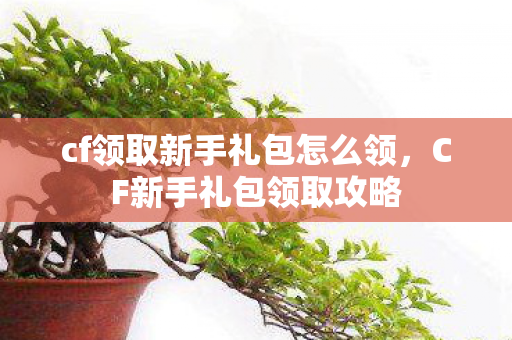 cf领取新手礼包怎么领，CF新手礼包领取攻略