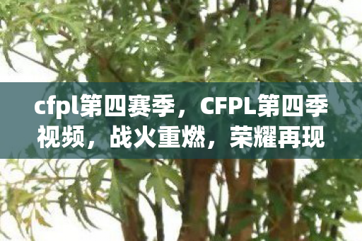 cfpl第四赛季，CFPL第四季视频，战火重燃，荣耀再现